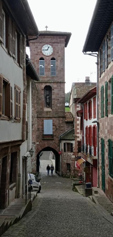 Saint Jean Pied De Port. Centre Ville. Rue Pietonne Saint-Jean-Pied-de-Port Exterior foto