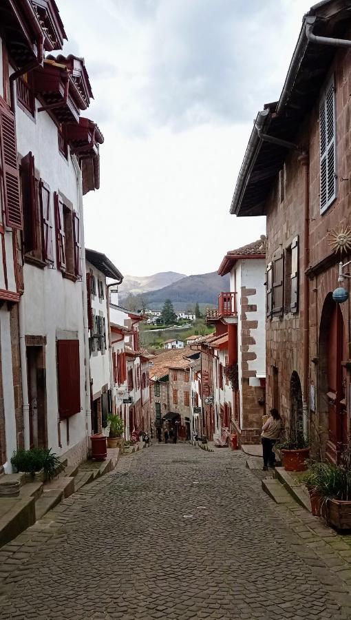 Saint Jean Pied De Port. Centre Ville. Rue Pietonne Saint-Jean-Pied-de-Port Exterior foto